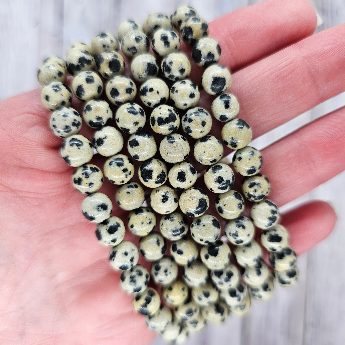 6mm Reiki Infused Dalmatian Jasper Bracelet