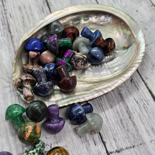 Assorted Crystal Mini Mushrooms