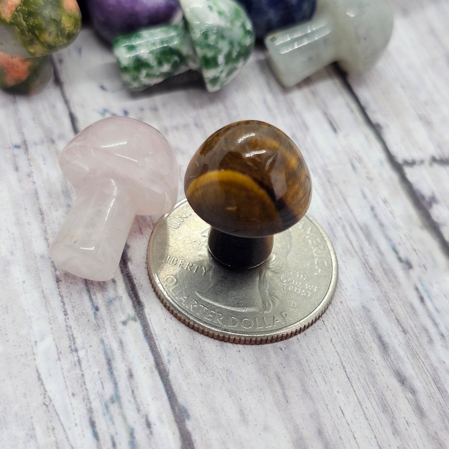 Assorted Crystal Mini Mushrooms